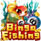 Bingo Fishing bingo plus app game