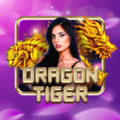 Dragon Tiger bingo plus app casino